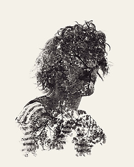 位圖 插畫 植物插畫 插畫師 Christoffer 免費素材