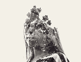位圖 插畫 植物插畫 插畫師 Christoffer 免費素材