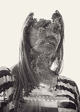 位圖 插畫 植物插畫 插畫師 Christoffer 免費素材