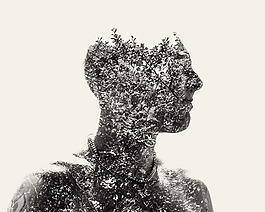 位圖 插畫 植物插畫 插畫師 Christoffer 免費素材