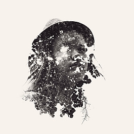 位圖 插畫 植物插畫 插畫師 Christoffer 免費素材