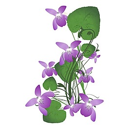 矢量圖 植物 寫意花卉 花朵 蝴蝶蘭 免費(fèi)素材