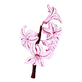 矢量圖 植物 寫(xiě)意花卉 花朵 百合 免費(fèi)素材