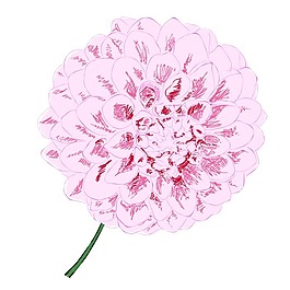 矢量圖 植物 寫意花卉 花朵 野花 免費(fèi)素材