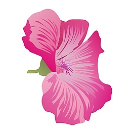 矢量圖 植物 寫意花卉 花朵 野花 免費(fèi)素材