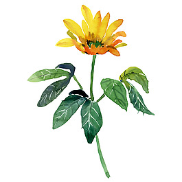 位圖 植物 寫意花卉 花朵 菊花 免費(fèi)素材