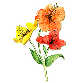位圖 植物 寫意花卉 花朵 蝴蝶蘭 免費(fèi)素材