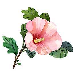 位圖 植物 寫意花卉 花朵 野花 免費素材