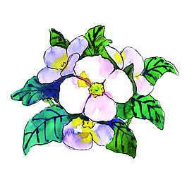 位圖 植物 寫意花卉 花朵 芍藥 免費素材