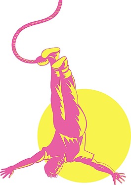 人笨豬跳
