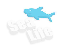 鯊魚海洋生命