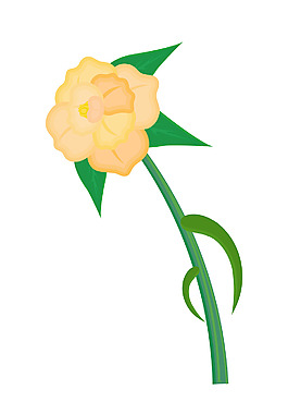 黃色的花
