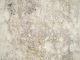 old_cemented_wall