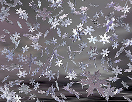 雪花