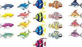 魚類圖片
