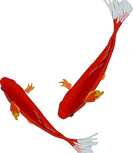 矢量AI 魚圖片
