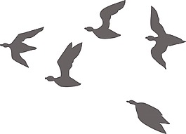 鳥類矢量