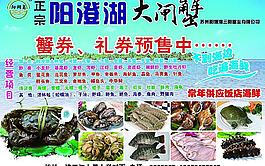 大閘蟹圖片