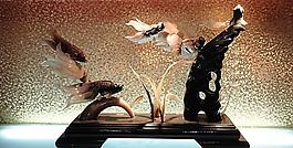 假魚圖片