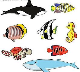 海洋生物 海魚圖片