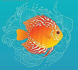 海魚(yú)海洋生物圖片