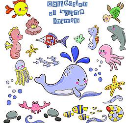 海洋生物圖片