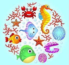 海洋生物圖片
