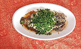 美食魚圖片