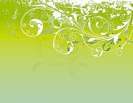 畫(huà)花卉背景矢量插畫(huà)
