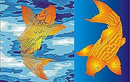 一對(duì)錦鯉魚圖片