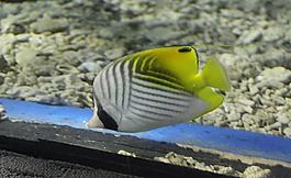 北京太平洋海底世界图片
