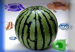 夏日素材圖片