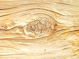 timber_wooden