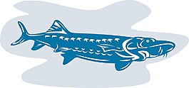 鱘魚復古