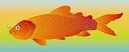 鯉魚矢量圖圖片
