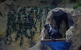 北京海洋館圖片