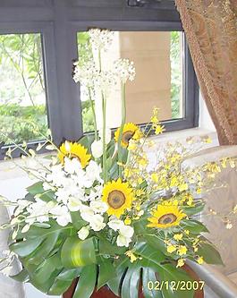 花藝圖片