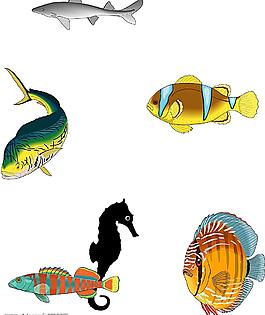 魚圖片