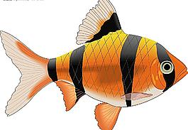 矢量魚圖片