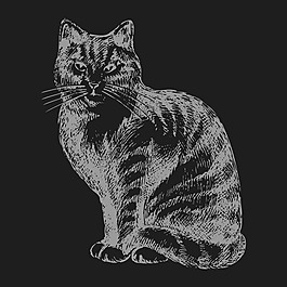印花矢量圖 T恤圖案 動物 貓 色彩 免費素材