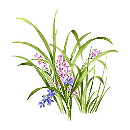 位圖 植物 寫(xiě)意花卉 花朵 野花 免費(fèi)素材