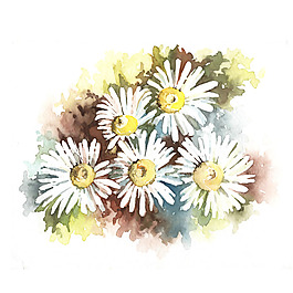 位圖 植物 寫意花卉 花朵 雛菊 免費(fèi)素材