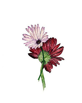 位圖 植物 寫(xiě)意花卉 活動(dòng) 菊花 免費(fèi)素材