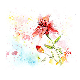 位圖 植物 寫(xiě)意花卉 花朵 百合 免費(fèi)素材
