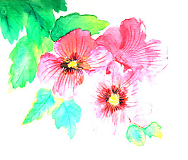 位圖 植物 寫(xiě)意花卉 花朵 免費(fèi)素材