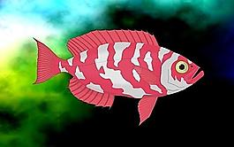 紅魚圖片
