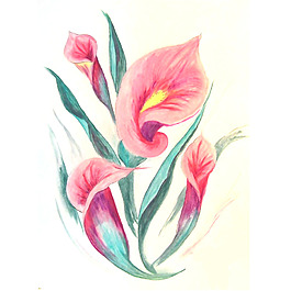 位圖 植物 寫意花卉 花朵 馬蹄蓮 免費(fèi)素材