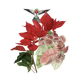 位圖 植物 寫意花卉 花朵 免費素材