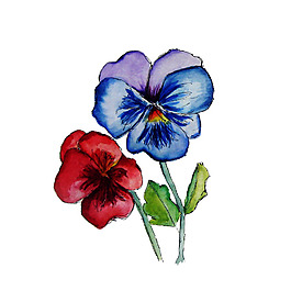 位圖 植物 寫(xiě)意花卉 花朵 免費(fèi)素材