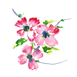 位圖 植物 寫意花卉 花朵 免費(fèi)素材